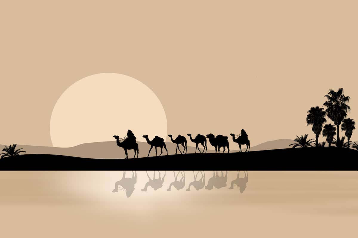 Status of the Prophet's Companions (Sahabah) in Qur’an & Prophetic Traditions (Alsunnah)